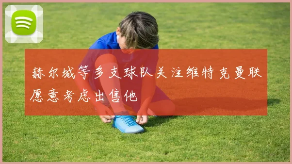 赫尔城等多支球队关注维特克曼联愿意考虑出售他