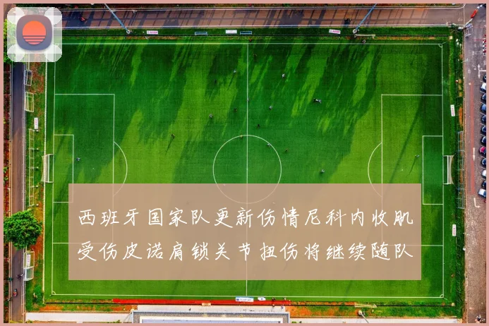西班牙国家队更新伤情尼科内收肌受伤皮诺肩锁关节扭伤将继续随队训练